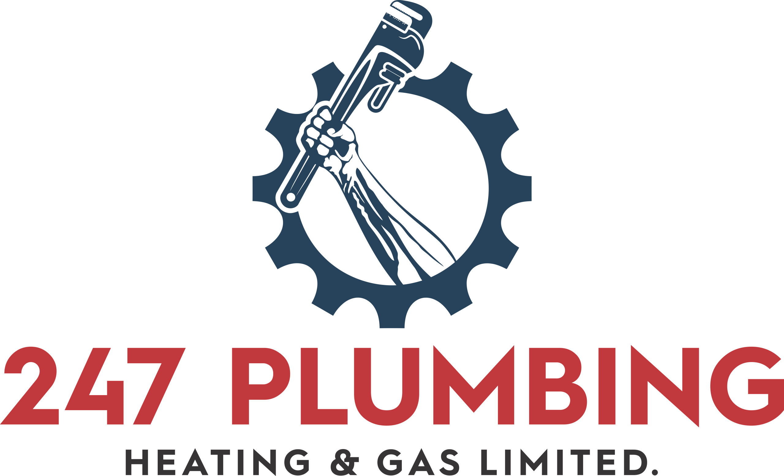 logo1